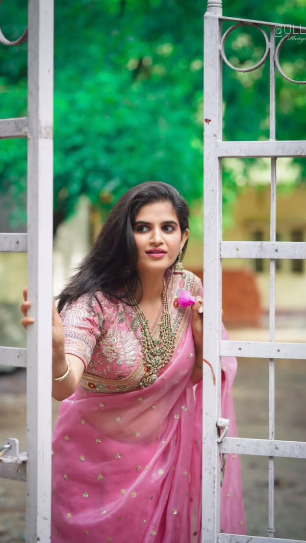 Royal Organza Saree for Reception & Nikah | Sequin Work